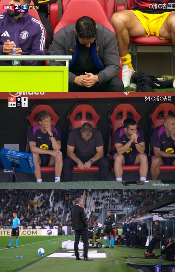 Đừng dám xem 😂amorin, frick và chú zen không dám xem hình phạt của các môn đệ